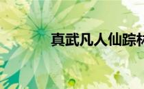 真武凡人仙踪林副本挑战攻略