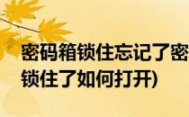 密码箱锁住忘记了密码怎么快速打开(密码箱锁住了如何打开)