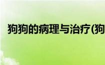 狗狗的病理与治疗(狗狗的病理与治疗视频)
