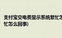 支付宝交电费显示系统繁忙怎么办(支付宝交电费显示系统繁忙怎么回事)