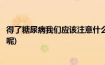 得了糖尿病我们应该注意什么(得了糖尿病我们应该注意什么呢)