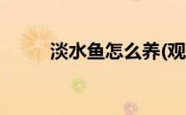 淡水鱼怎么养(观赏淡水鱼怎么养)