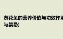 黄花鱼的营养价值与功效作用(黄花鱼的营养价值与功效作用与禁忌)