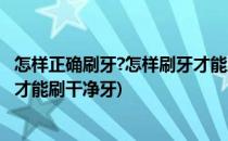 怎样正确刷牙?怎样刷牙才能刷干净(怎样正确刷牙?怎样刷牙才能刷干净牙)