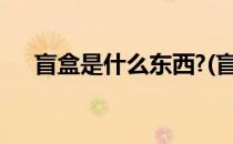 盲盒是什么东西?(盲盒是什么东西图片)