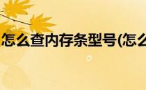 怎么查内存条型号(怎么查内存条型号 win10)