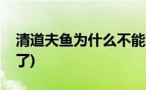 清道夫鱼为什么不能吃(清道夫鱼为什么死不了)