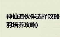 神仙道伙伴选择攻略—飞羽主角篇(神仙道飞羽培养攻略)