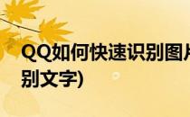 QQ如何快速识别图片文字(qq怎么看图片识别文字)
