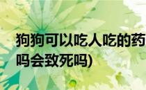 狗狗可以吃人吃的药吗(狗狗可以吃人吃的药吗会致死吗)