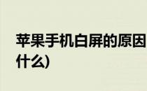 苹果手机白屏的原因(苹果手机白屏的原因是什么)