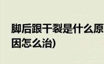 脚后跟干裂是什么原因(脚后跟干裂是什么原因怎么治)