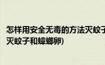 怎样用安全无毒的方法灭蚊子和蟑螂(怎样用安全无毒的方法灭蚊子和蟑螂卵)