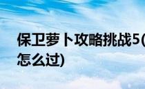保卫萝卜攻略挑战5(保卫萝卜攻略挑战19关怎么过)