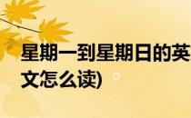 星期一到星期日的英文(星期一到星期日的英文怎么读)