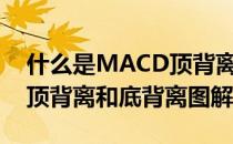 什么是MACD顶背离和底背离(什么是macd顶背离和底背离图解)
