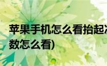 苹果手机怎么看抬起次数(iPhone手机抬起次数怎么看)