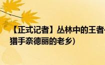 【正式记者】丛林中的王者——狂野女猎手奈德丽(狂野女猎手奈德丽的老乡)