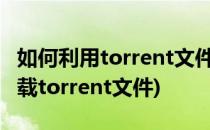 如何利用torrent文件进行下载(如何用手机下载torrent文件)
