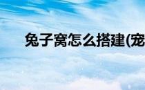 兔子窝怎么搭建(宠物兔子窝怎么搭建)