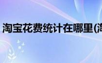 淘宝花费统计在哪里(淘宝花费统计在哪里看)