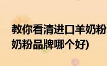 教你看清进口羊奶粉哪个牌子好(原装进口羊奶粉品牌哪个好)
