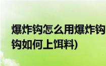 爆炸钩怎么用爆炸钩自制饵料注意事项(爆炸钩如何上饵料)