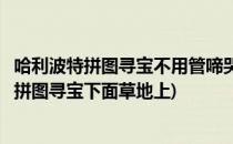 哈利波特拼图寻宝不用管啼哭的曼德拉草位置在哪(哈利波特拼图寻宝下面草地上)