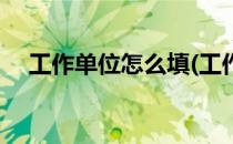 工作单位怎么填(工作单位怎么填打工人)