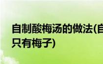 自制酸梅汤的做法(自制酸梅汤的做法与配方只有梅子)