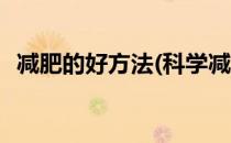 减肥的好方法(科学减肥的最好方法有哪些)