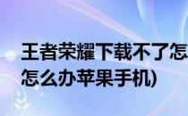 王者荣耀下载不了怎么办(王者荣耀下载不了怎么办苹果手机)