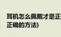 耳机怎么佩戴才是正确的(耳机怎么佩戴才是正确的方法)