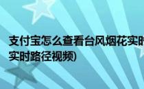 支付宝怎么查看台风烟花实时路径(支付宝怎么查看台风烟花实时路径视频)