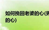 如何挽回老婆的心(男人出轨后如何挽回老婆的心)