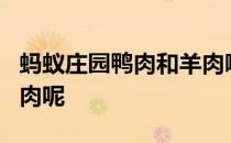 蚂蚁庄园鸭肉和羊肉哪个属于我们通常所说白肉呢