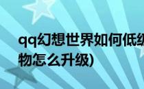 qq幻想世界如何低级宠物强化石(qq幻想宠物怎么升级)