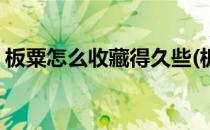 板粟怎么收藏得久些(板粟怎么收藏得久些呀)