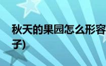 秋天的果园怎么形容(秋天的果园怎么形容句子)