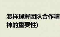 怎样理解团队合作精神(怎样理解团队合作精神的重要性)