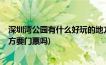 深圳湾公园有什么好玩的地方?(深圳湾公园有什么好玩的地方要门票吗)