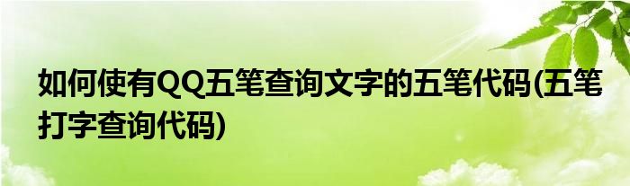 如何使有QQ五笔查询文字的五笔代码(五笔打字查询代码)