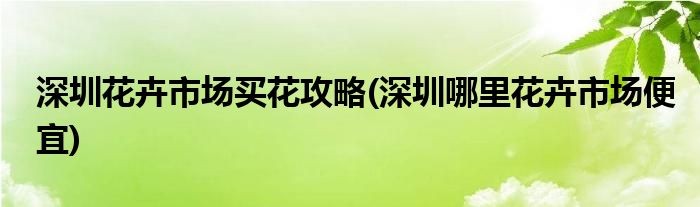 深圳花卉市场买花攻略(深圳哪里花卉市场便宜)