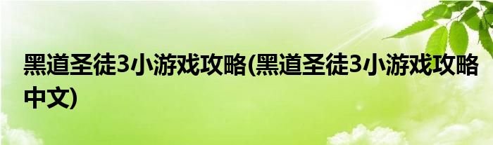 黑道圣徒3小游戏攻略(黑道圣徒3小游戏攻略中文)