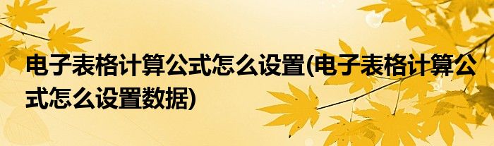 电子表格计算公式怎么设置(电子表格计算公式怎么设置数据)