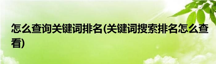 怎么查询关键词排名(关键词搜索排名怎么查看)