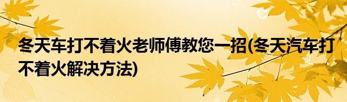 冬天车打不着火老师傅教您一招(冬天汽车打不着火解决方法)