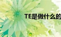 TE是做什么的(TE做什么的)
