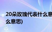20朵玫瑰代表什么意思(1到20朵玫瑰代表什么意思)