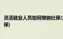 灵活就业人员如何缴纳社保(东莞市灵活就业人员如何缴纳社保)